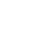 Pricing Icon